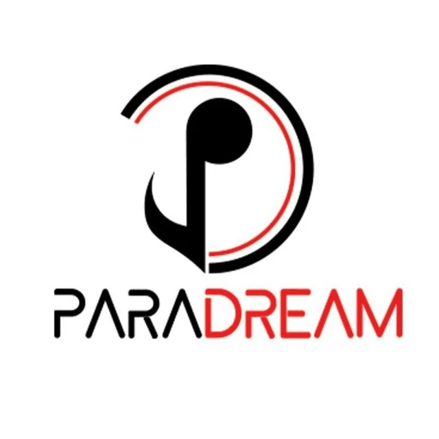 Paradream team at work